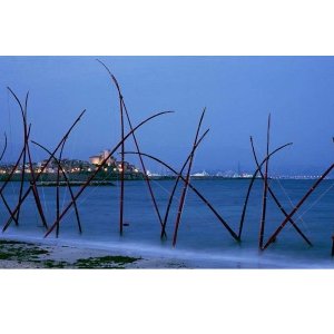 1ère Rencontre internationale de Land Art sur l'île Sainte Marguerite à Cannes « De l'Arctique à la Méditerranée »
