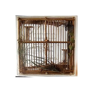 Laissez vous emprisonner dans les Cages du Désir