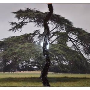 L'Echo au Chaos - Collective Show 