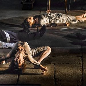 La Grenouille avait raison, de James Thierrée au TNN