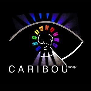 Caribou concept illumine le Palais des Congrès