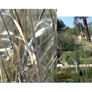 Exposition ABC d'Herbes Abécédaire à Menton