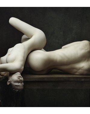 22 décembre 2015 - Newsletter