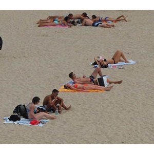 Animare, expo à ciel ouvert de Davide Rivalta 