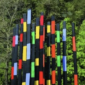 Les Arbres Brûlés de Philippe Pastor, témoins silencieux du changement climatique à St Paul de Vence