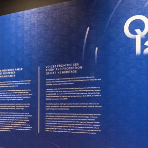 Quand la mer nous parle - Étudier et protéger le patrimoine marin au Musée d'Archéologie de Nice-Cimiez