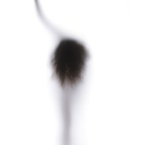 Le Musée de la Photographie se dé-robe…