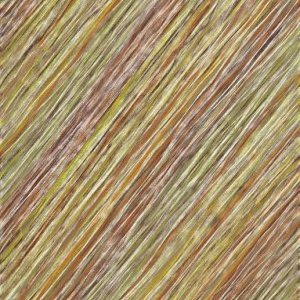 Marie-Elisabeth Collet ou la structure intérieure de l'organique (2/3)