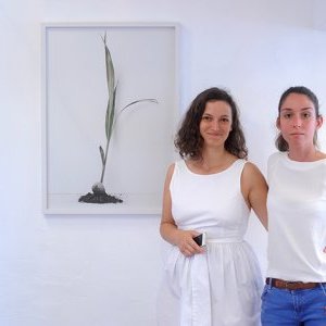 La galerie Sintitulo accueille le gratin des artistes