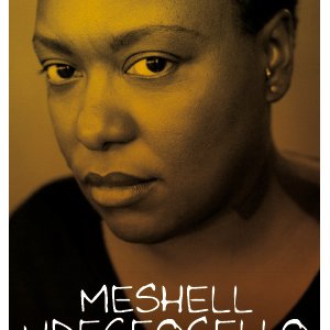 Me'Shell Ndegeocello 
