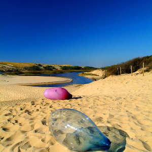  "Ovolithes", Xavier CARRERE, verrier d'Art