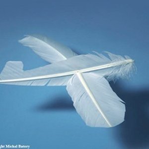 Nouveau rendez-vous des Songes d'été à Annot 