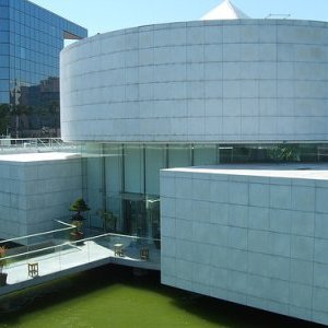 Des arts martiaux au Musée des Arts asiatiques 