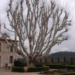 Arts et vins : les Châteaux Sainte Roseline et des Demoiselles
