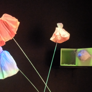 Biennale de Venise : une visite des expositions de l'Arsenale