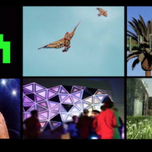 Les Visiteurs du Samedi 11 novembre 2017