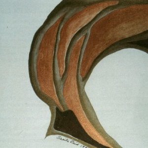 Chapitre 70 : Sheila Reid, une place dans le futur (Part IV) 