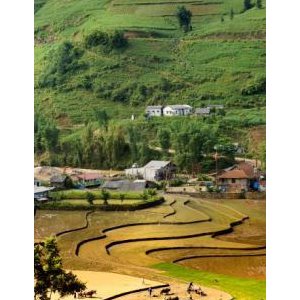 « Palettes… Rizières du Vietnam », par Yann Savalle