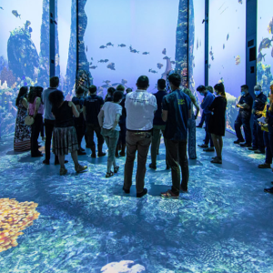  Immersion, la nouvelle exposition interactive du Musée océanographique