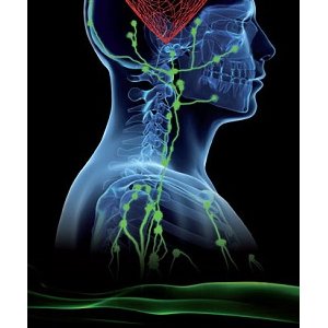 Programme du festival MANCA 2013