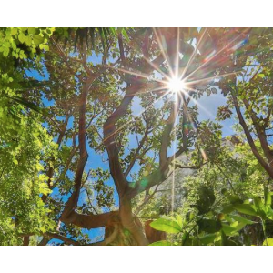 Festival des Jardins de la Côte d'Azur 2017 à l'Hotel Windsor