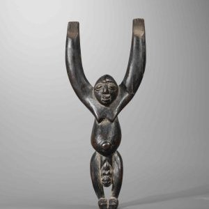 Exposition : L'art de faire mouche !