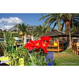 20 èmes Journées Méditerranéennes du Jardin 