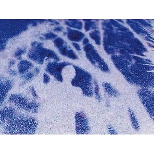 Pessoa, Bukowski, Van Gogh s'offrent en Spectacle et lectures en musique 