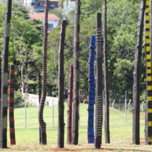 Philippe Pastor, L'Art au service de l'environnement