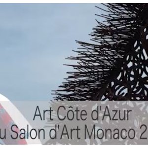 Vidéo : visite guidée du Salon Art Monaco 2014