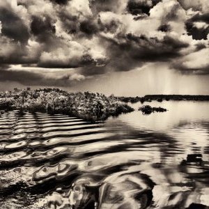 Festival d'Avignon : Quelques-uns de nos coups de coeur