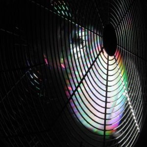 L'exposition d'Emmanuelle Nègre présentée à Cannes