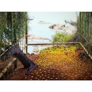 Sur l'eau, Nils Udo à découvrir au Musée de la Mer, Île Sainte Marguerite