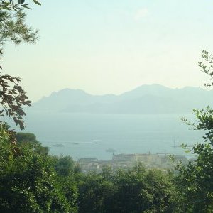 Cannes revêt ses plus beaux habits artistiques