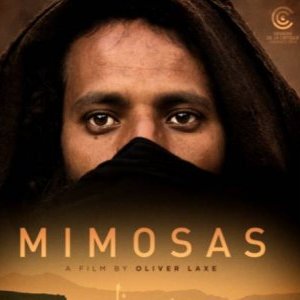 MIMOSAS, LA VOIE DE L'ATLAS D'Oliver Laxe