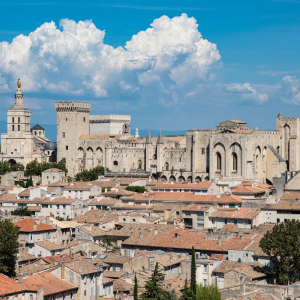 Du faux Vermeer à Moby Dick : Chronique avignonnaise