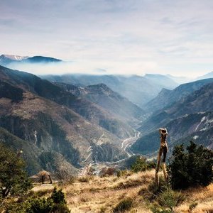 Louis Dollé, l'artiste-homme orchestre
