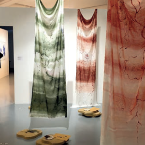 MAMAC : Dites-le avec des fleurs...