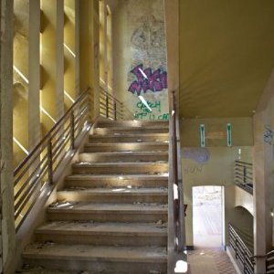 Proposition artistique Franco-Belge : Simone Simon & Nicolas Buissart